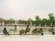 チュイルリー公園（Jardin des Tuileries）